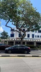Changi Road (D14), Retail #603096811